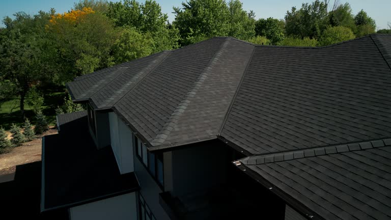 Best Asphalt Shingles Roofing  in Picacho Hills, NM